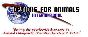 Options for Animals International Logo
